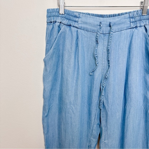 Aritzia Womens Medium Talula Chambray Jogger Los Feliz Pant CN - Picture 4 of 14